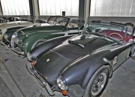 009 - jüngere jahrgänge